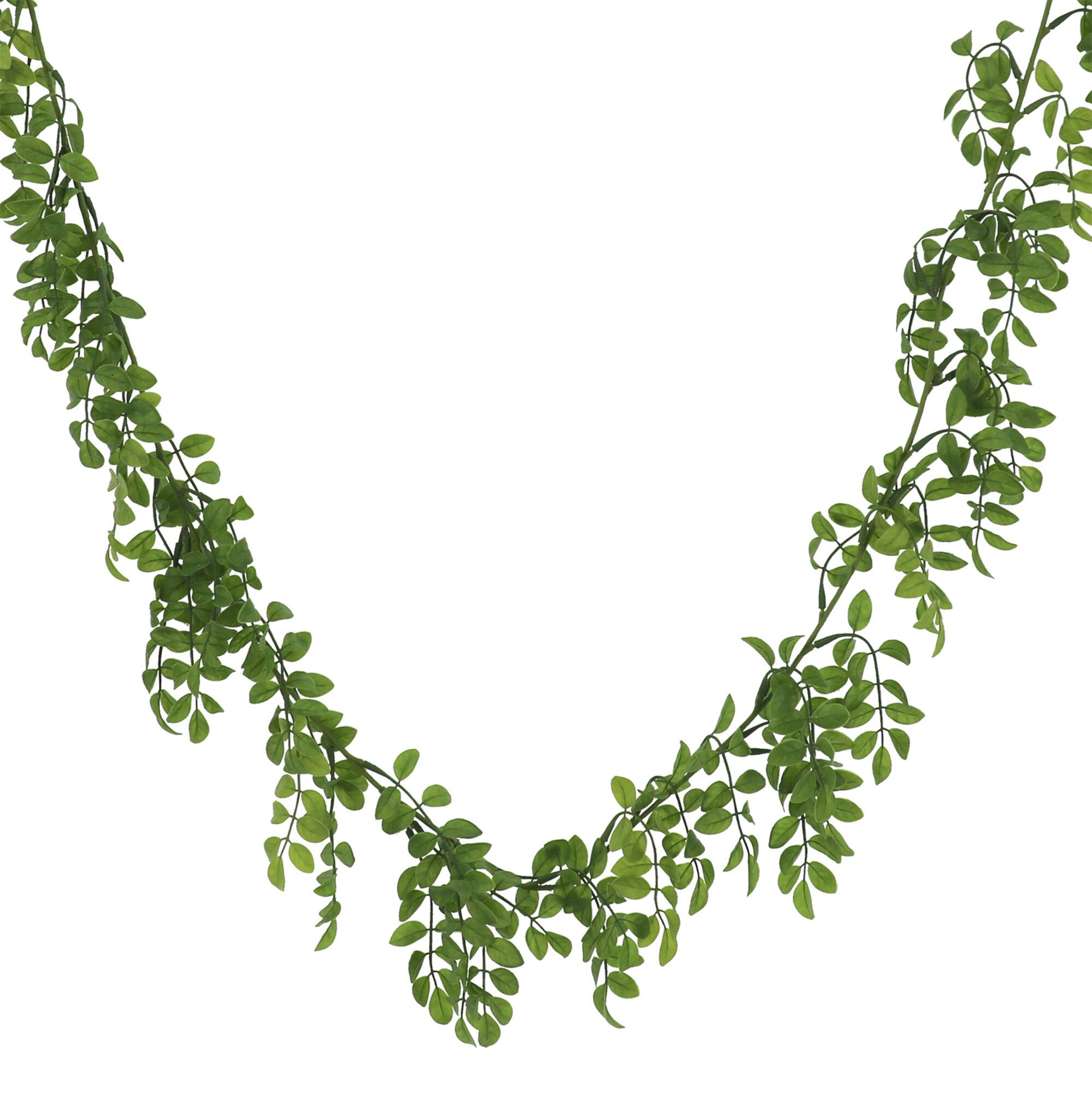 6 Pack: 6ft. Nandina Leaf Garland by Ashland®